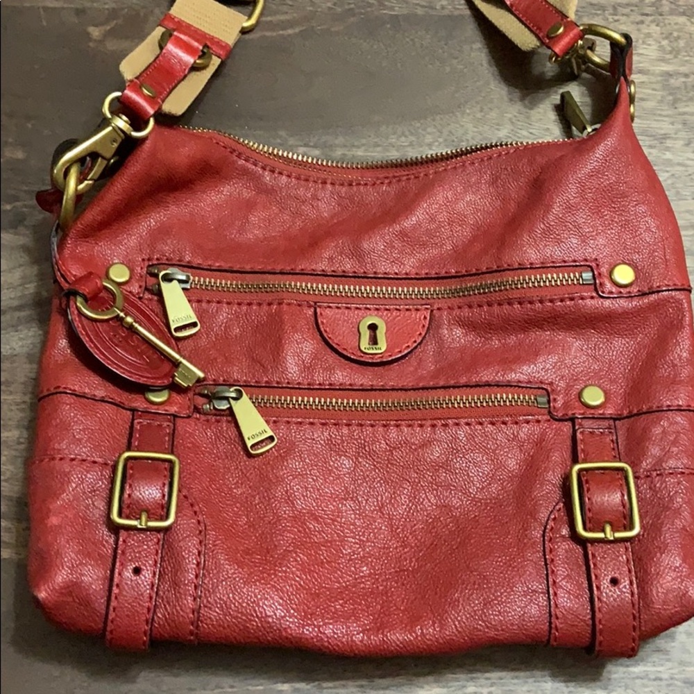 Beautiful Fossil Bag